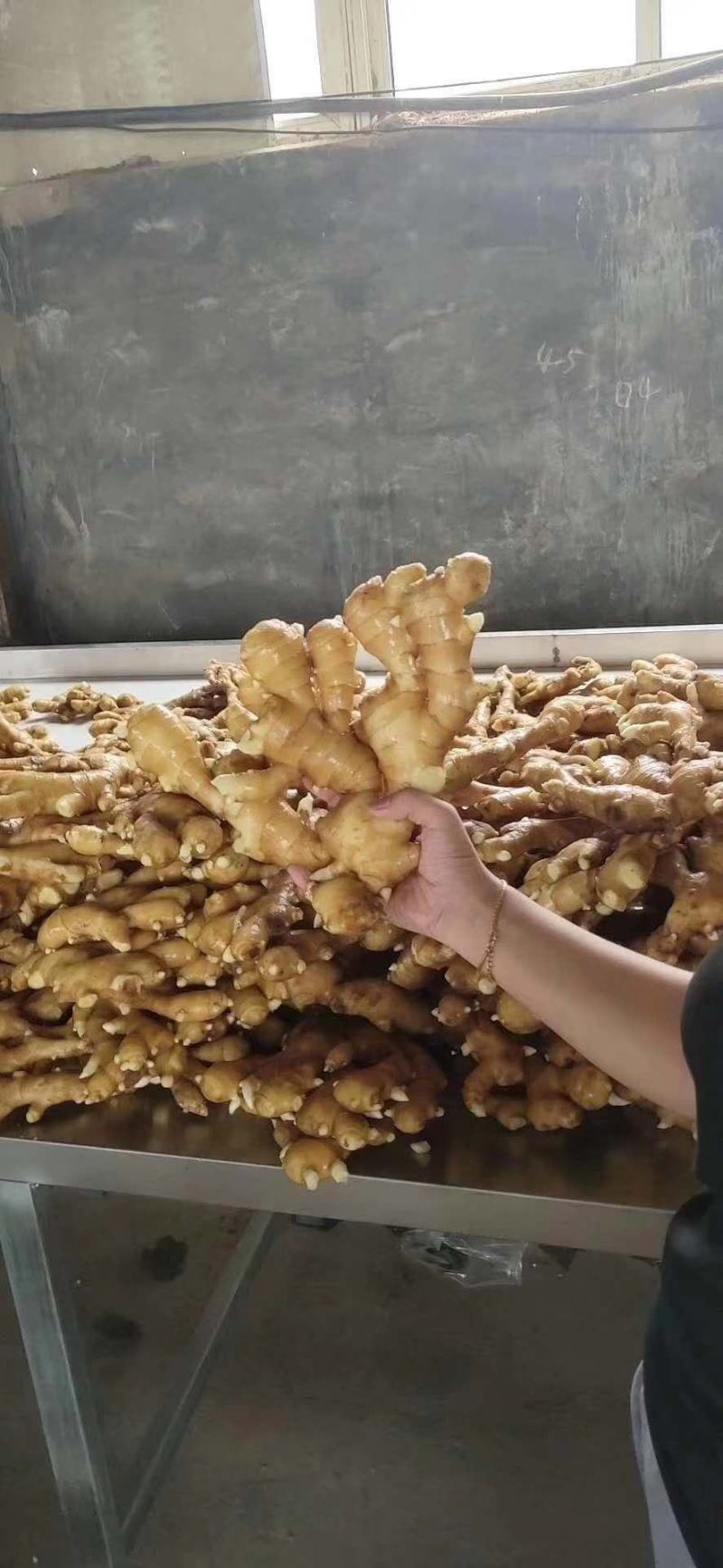 四川精品大黄姜产地一手货源质量保证全国发货量大从优