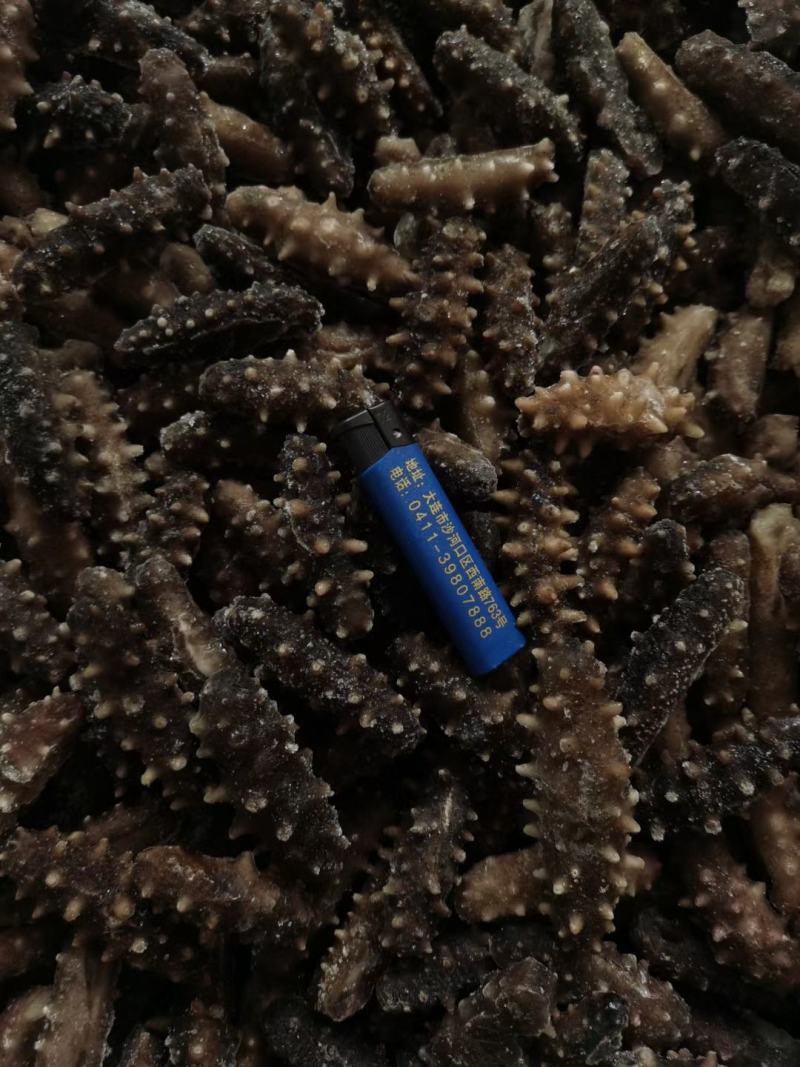 海参30头小货大连工厂