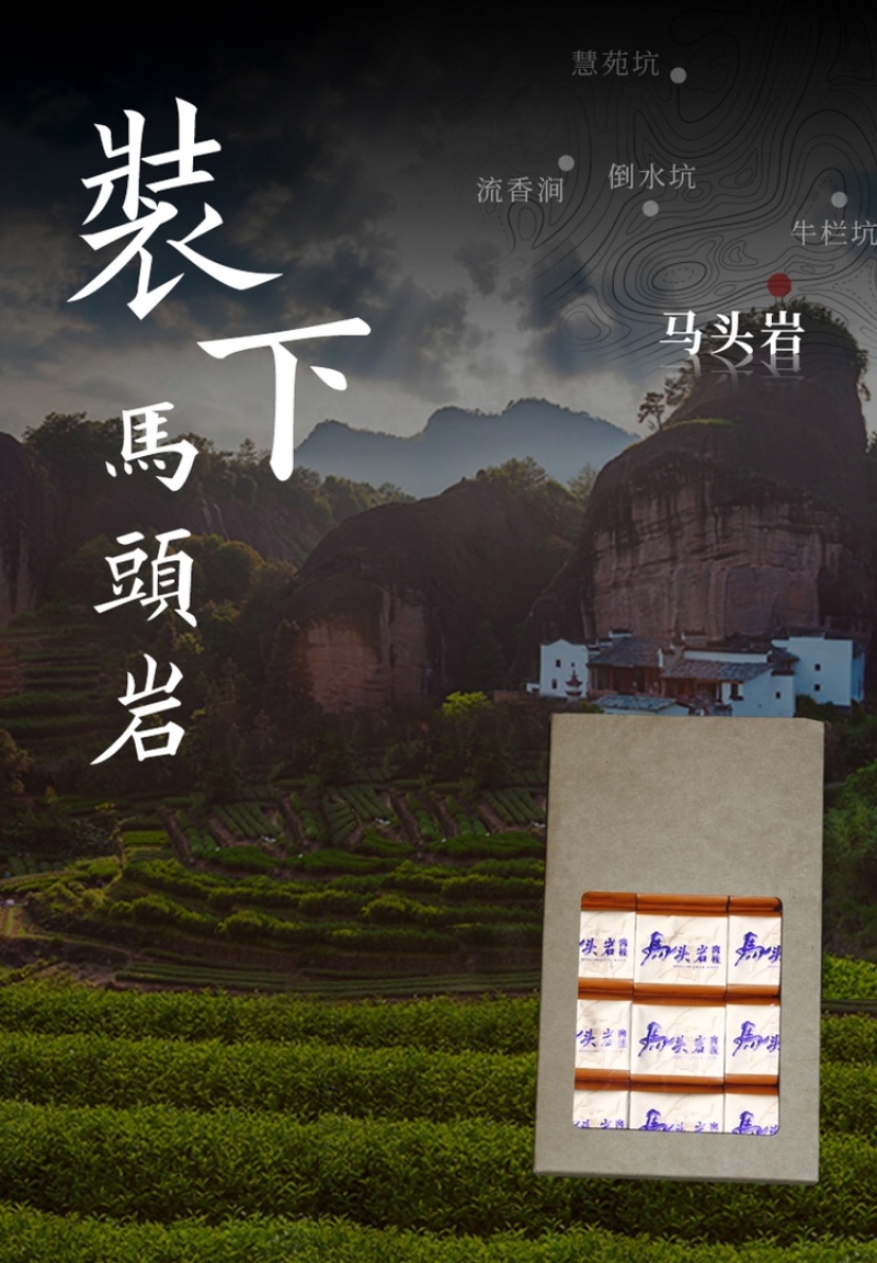 牛栏坑肉桂马头岩肉桂组合一斤装武夷山岩茶高品质茶叶