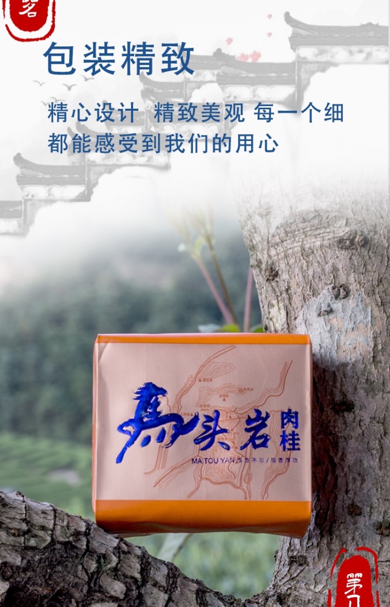 牛栏坑肉桂马头岩肉桂组合一斤装武夷山岩茶高品质茶叶