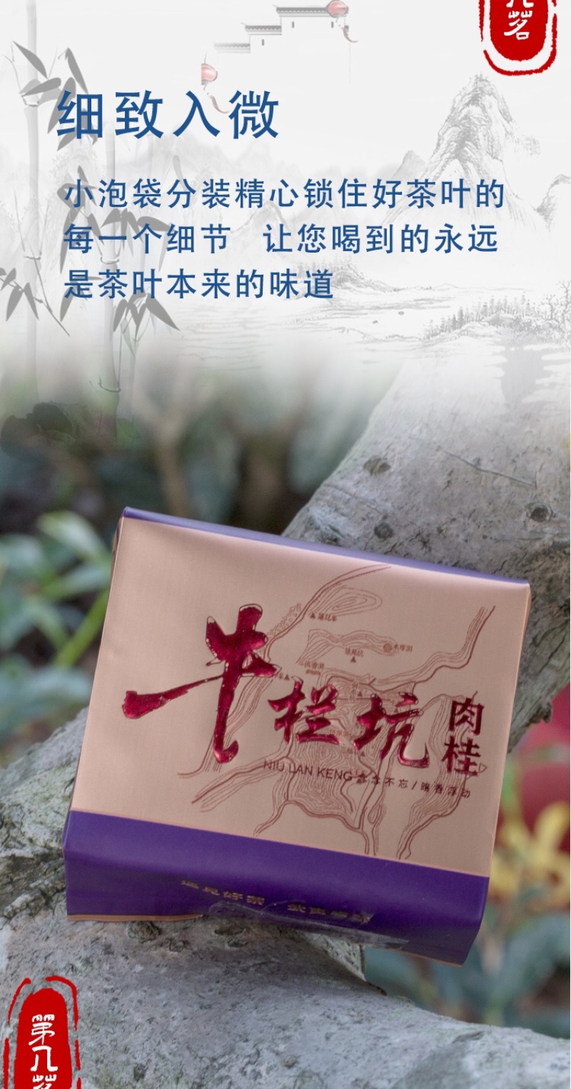 牛栏坑肉桂马头岩肉桂组合一斤装武夷山岩茶高品质茶叶