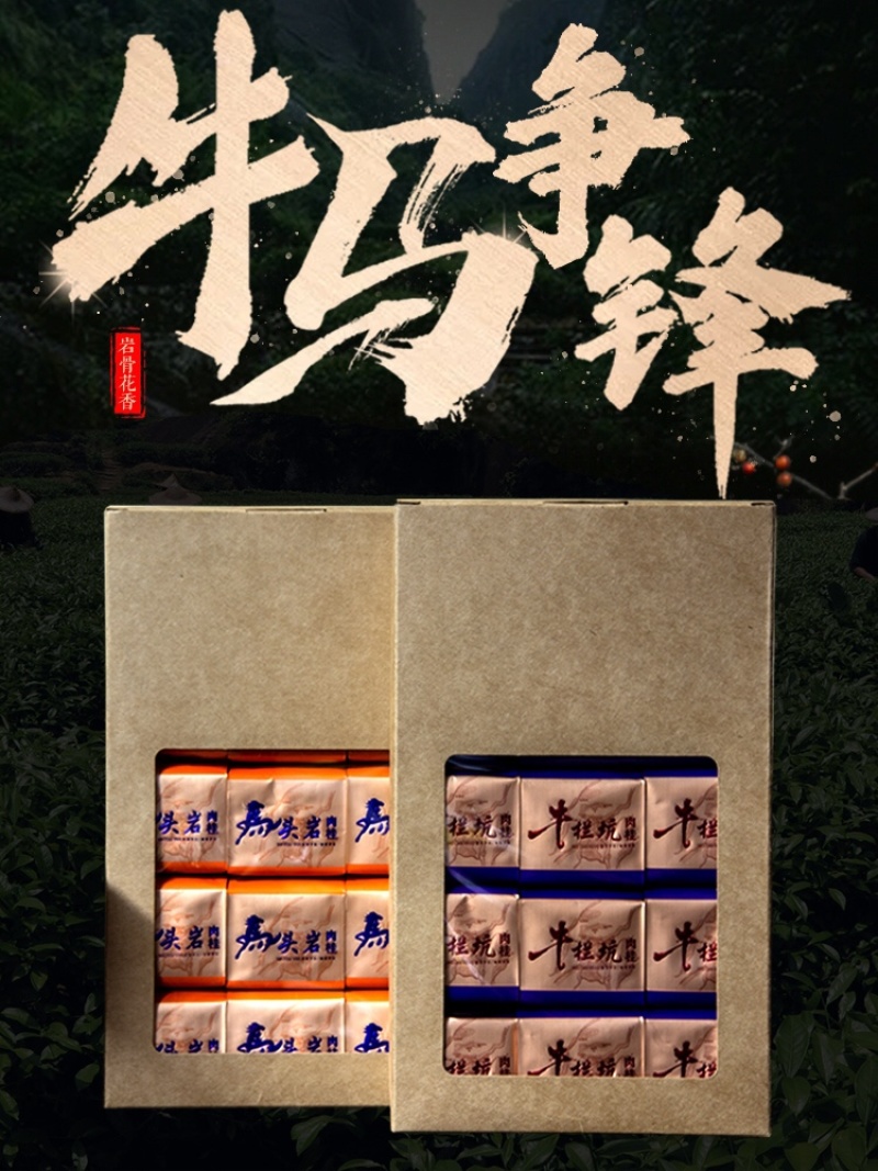 牛栏坑肉桂马头岩肉桂组合一斤装武夷山岩茶高品质茶叶