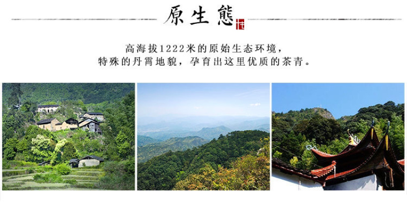 福建武夷山矮脚乌龙茶叶高山茶岩茶乌龙茶500克