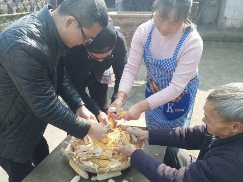 云南绥江特产正宗包谷粑
