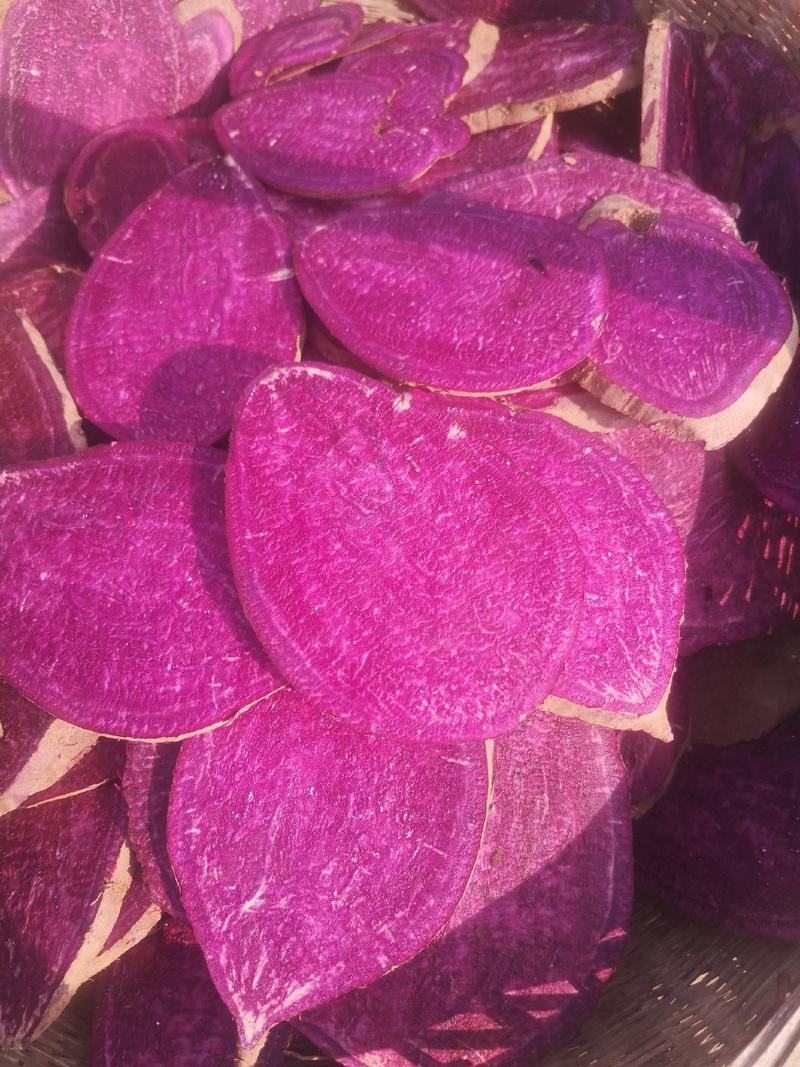 河南紫薯粉洛阳伊川农家自制新鲜紫薯粉产地直销