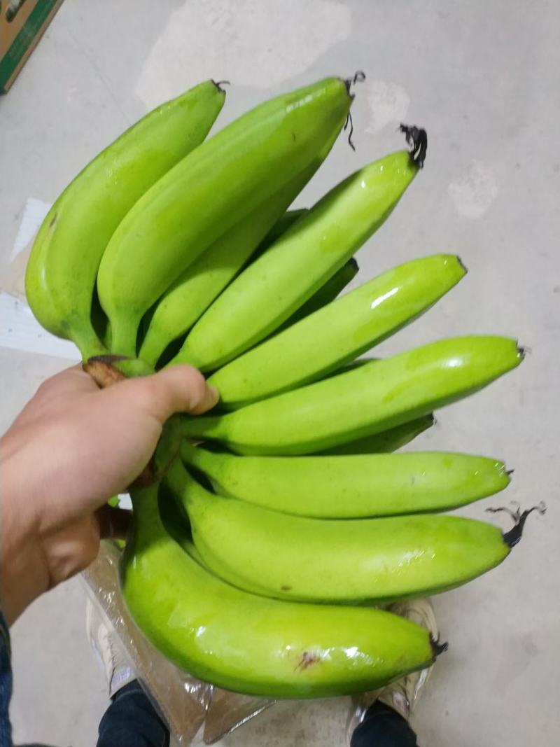 广西三把焦，大量出库批发