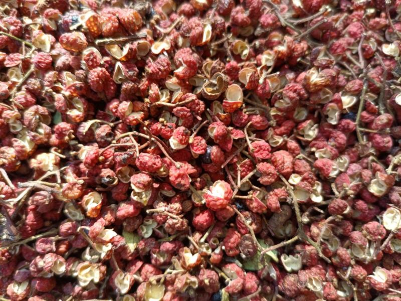 花椒豫西山地花椒大红袍之一狮子头