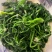 荠菜速冻荠菜野菜地皮菜荠菜馅，整棵速冻荠菜