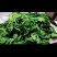 荠菜速冻荠菜野菜地皮菜荠菜馅，整棵速冻荠菜