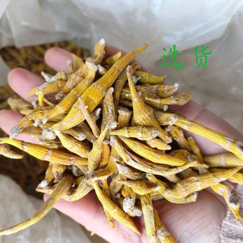 金钗石斛散装干货1斤起包邮量大从优