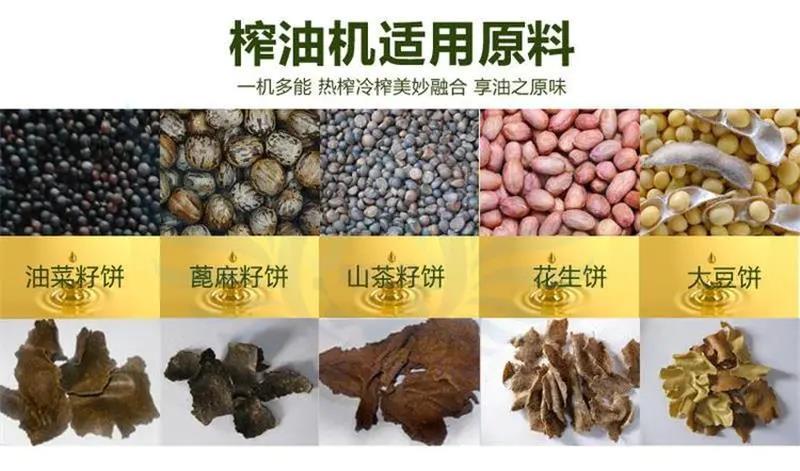 新型多功能菜籽大豆花生芝麻螺旋榨油机冷热两用榨油设备