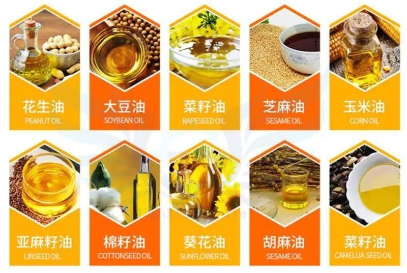 新型多功能菜籽大豆花生芝麻螺旋榨油机冷热两用榨油设备