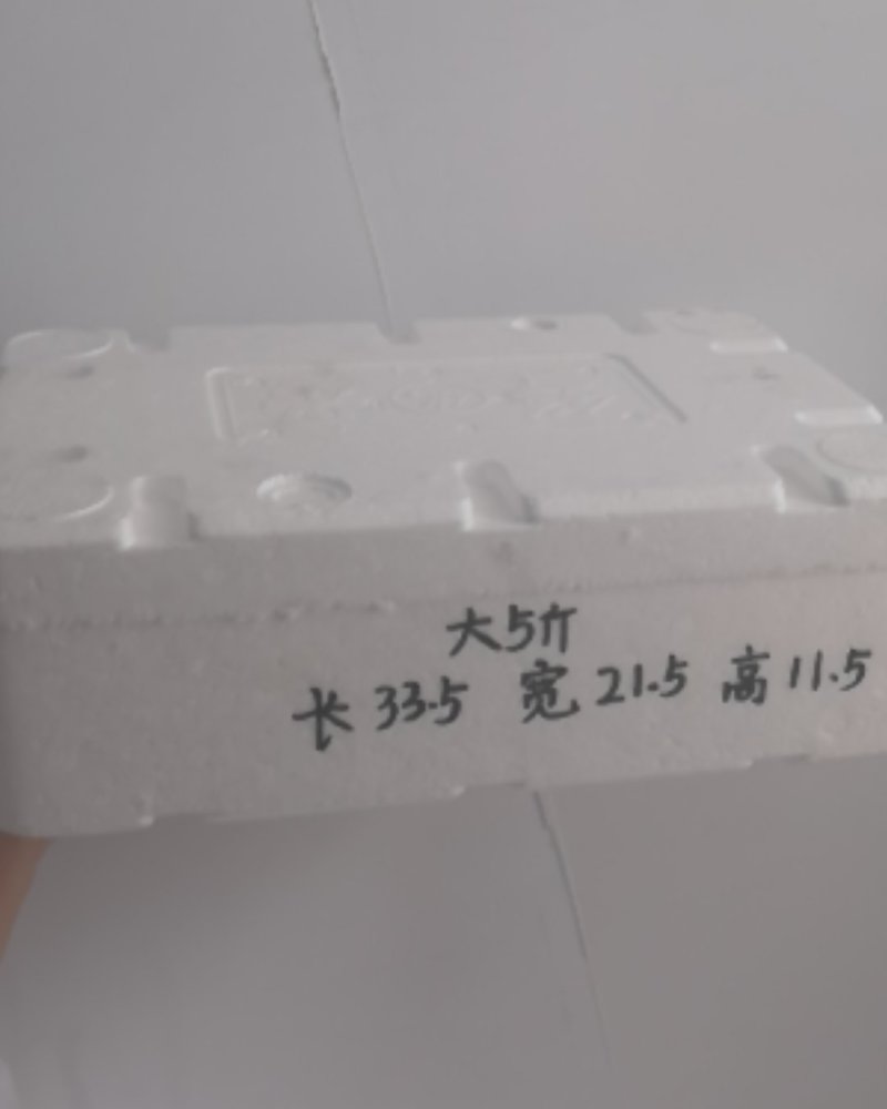 大量生产出售泡沫箱，有多种种类，价格实惠。