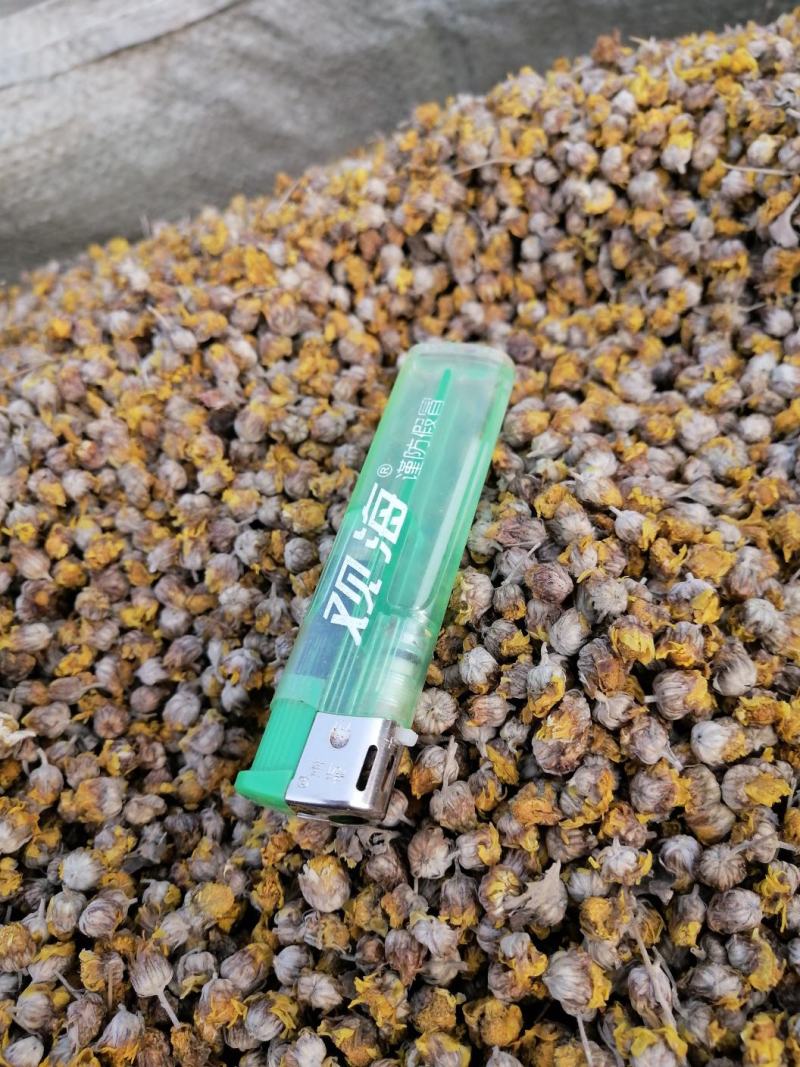 常年供应，商超，花茶店，电商，精品野菊花。