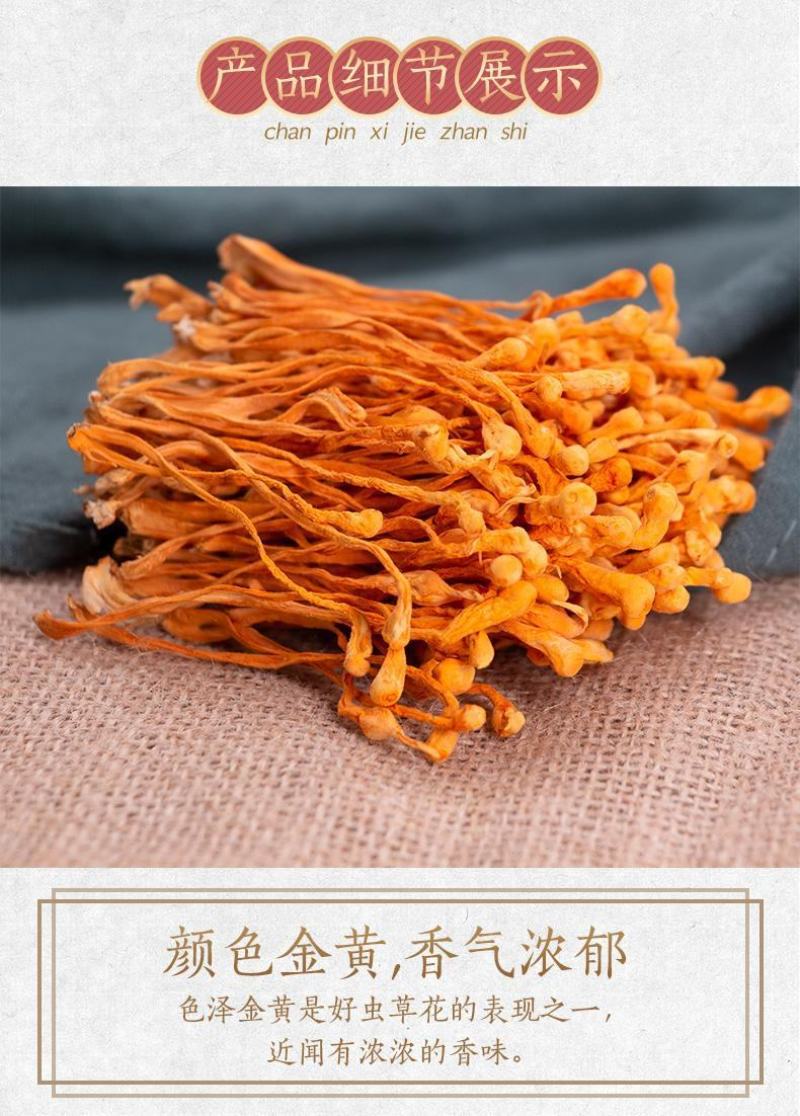 虫草花排草孢子头进出口大量现货供应