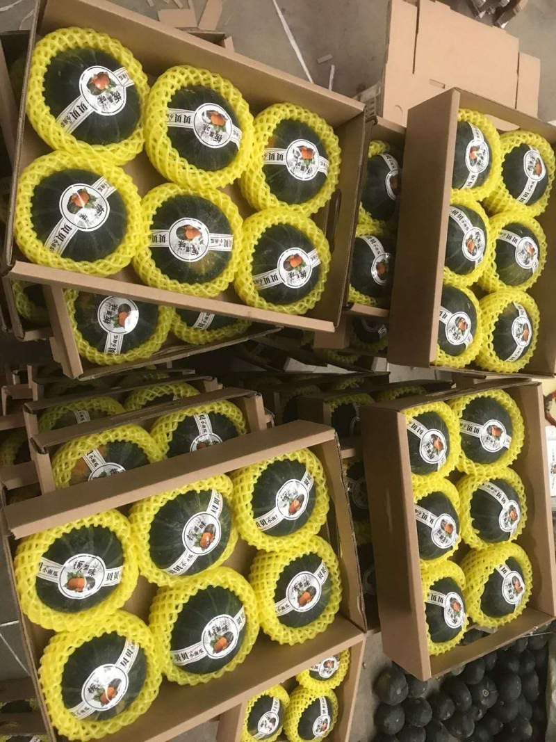 批发商超贝贝南瓜精品礼盒山东潍坊贝贝南瓜电商