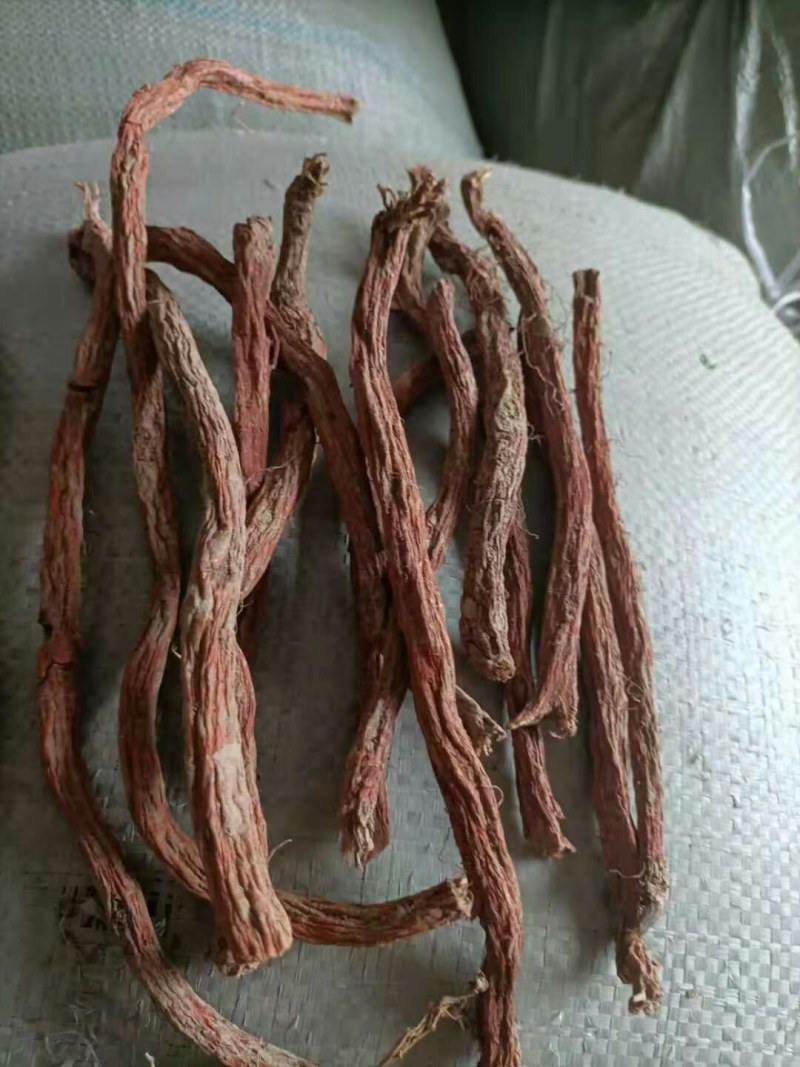川丹参，统货，选条，基地供货，包质量，欢迎各位光临