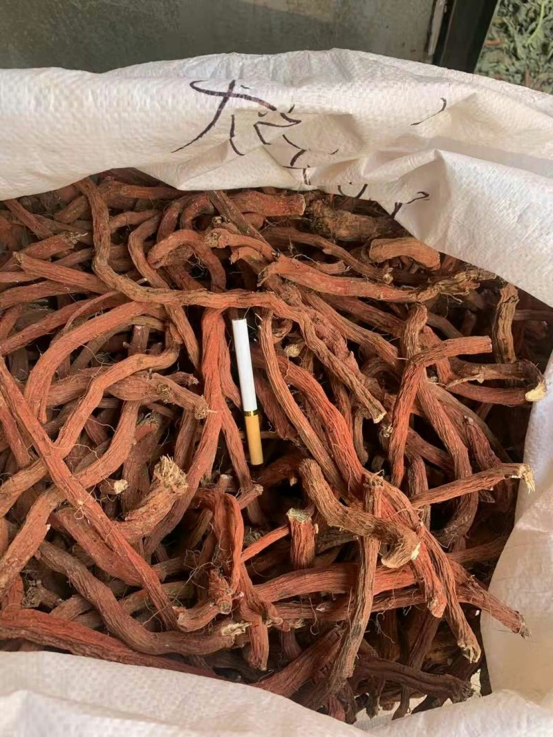 川丹参，统货，选条，基地供货，包质量，欢迎各位光临