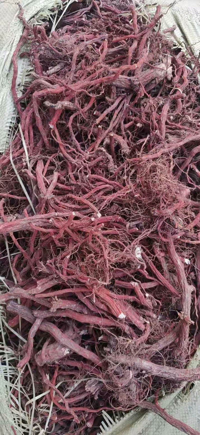 川丹参，统货，选条，基地供货，包质量，欢迎各位光临