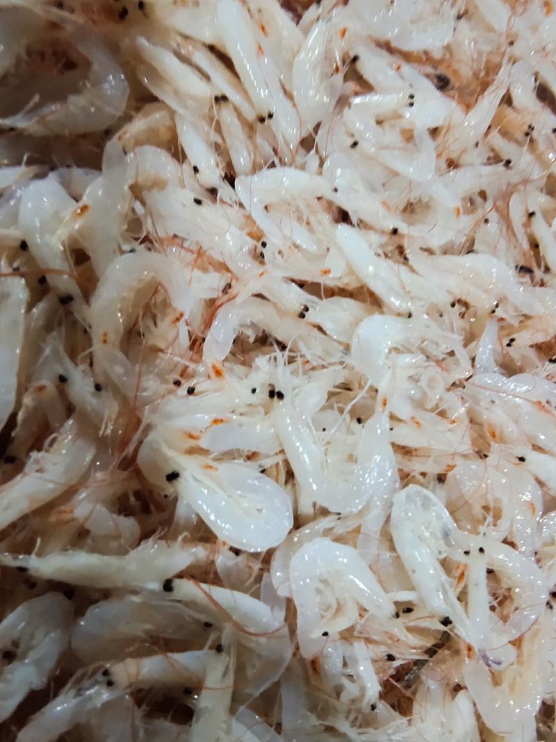 低盐渤海湾虾皮价格惊喜口感鲜美欢迎咨询！样品代发