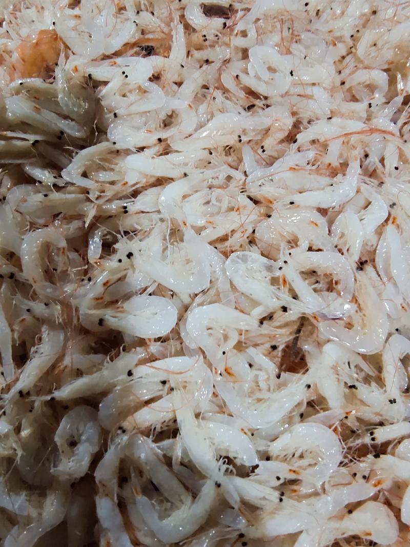 低盐渤海湾虾皮价格惊喜口感鲜美欢迎咨询！样品代发