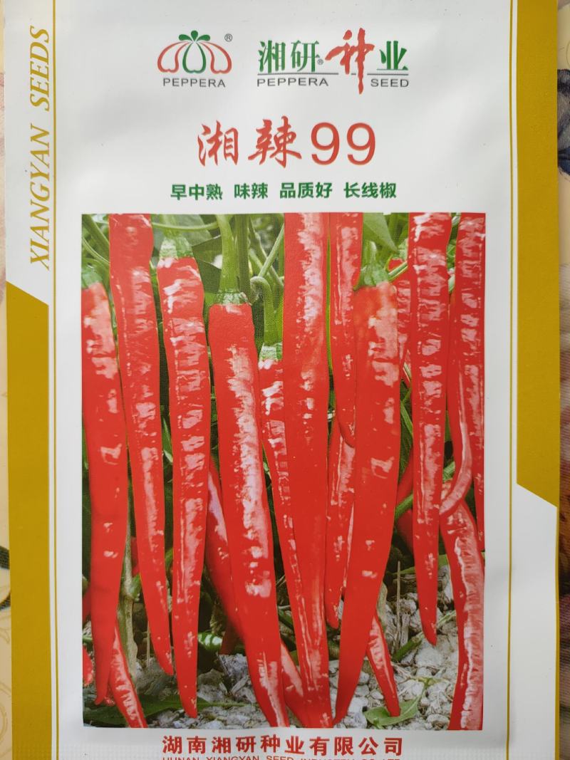 正宗湘研辣椒种子线椒种子青椒种子红椒种子湘辣99\100