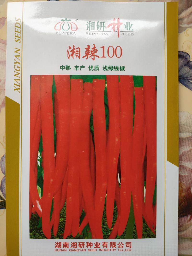 正宗湘研辣椒种子线椒种子青椒种子红椒种子湘辣99\100