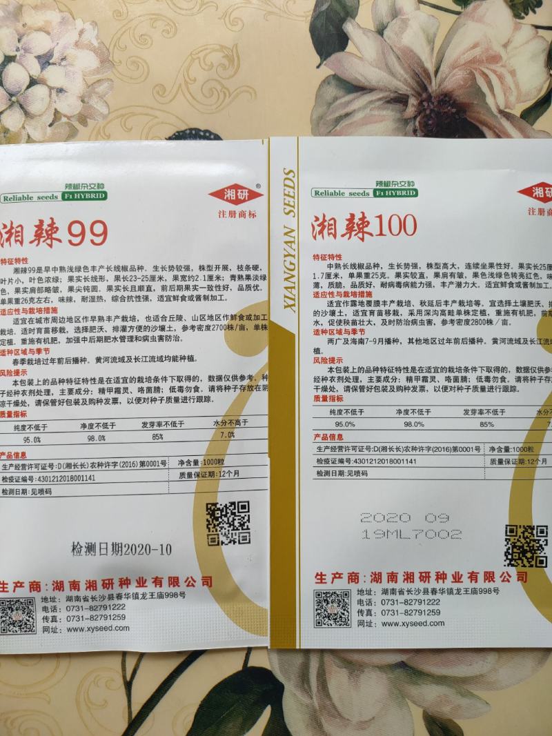 正宗湘研辣椒种子线椒种子青椒种子红椒种子湘辣99\100