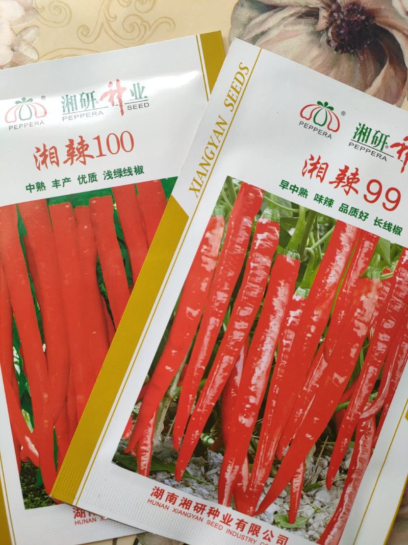 正宗湘研辣椒种子线椒种子青椒种子红椒种子湘辣99\100