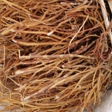 龙胆草，干货出售全部根部