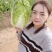 【黄心大白菜】春季黄心白菜，一手货源、质量有保证耐运输。
