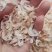 无盐虾皮，补钙佳品，干度特别好，一手货源，大量有货