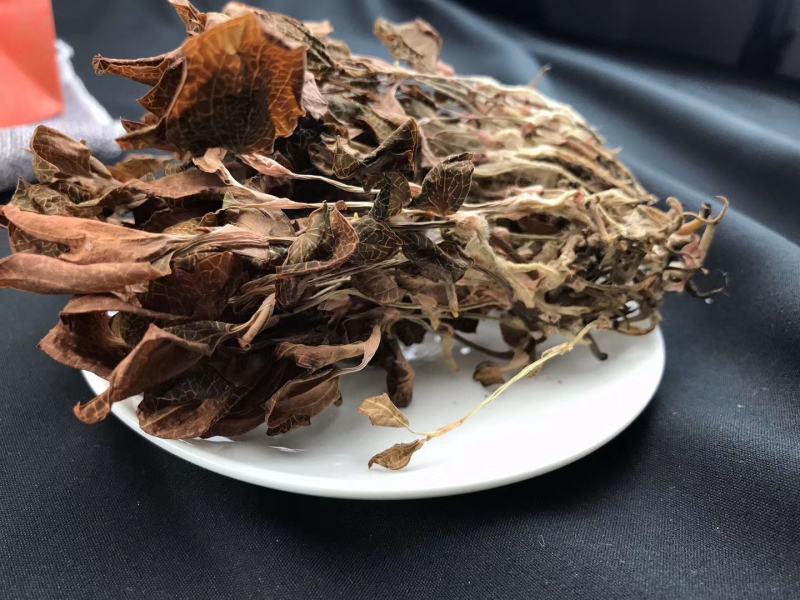 福建南靖金线莲整棵干品