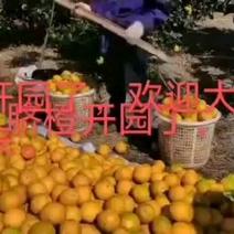 赣南脐橙，中国品质，值得拥有