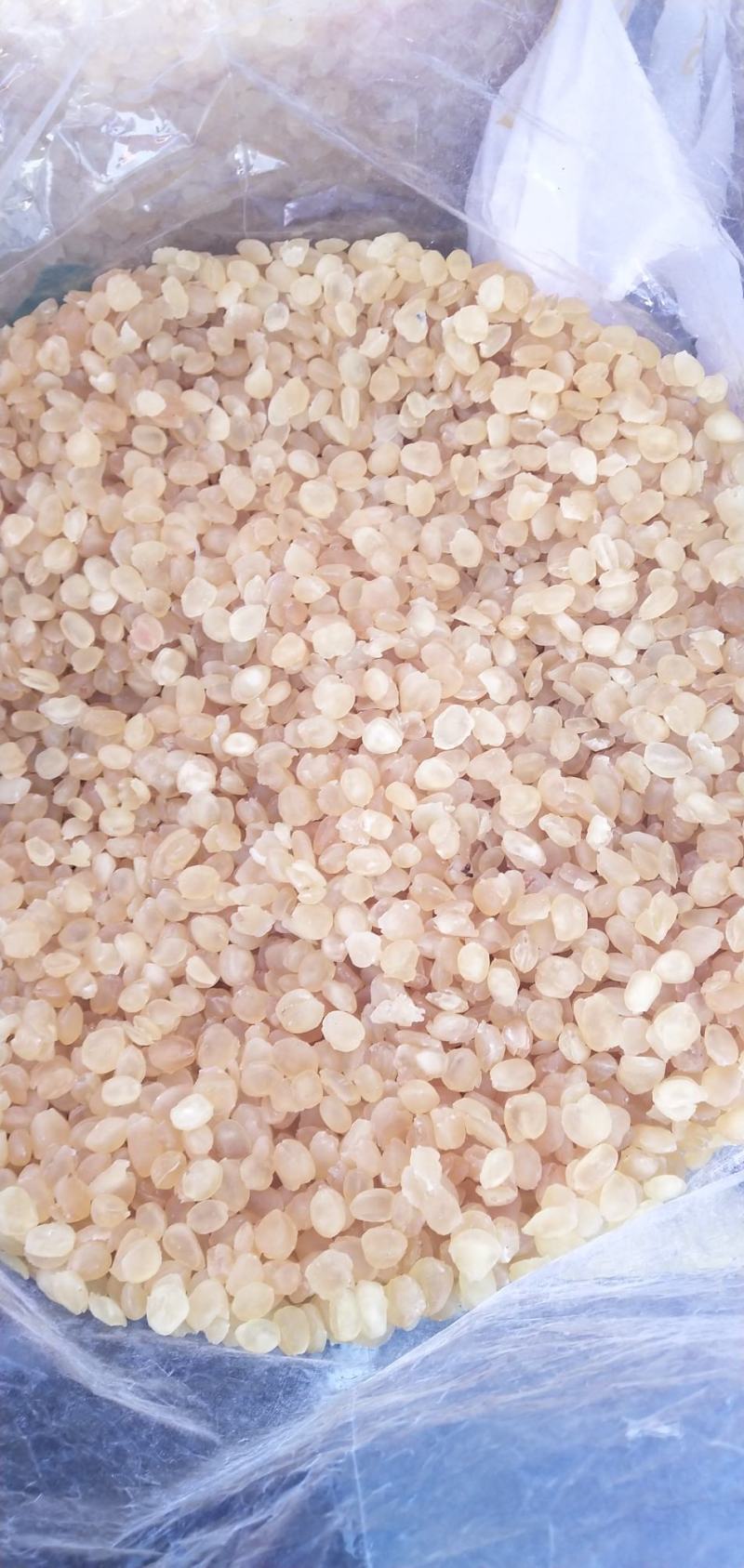 包邮雪莲子双荚皂角米500g云南雪莲子颊散装免费打粉
