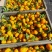 南丰蜜桔0.3~0.5价格便宜要橘子的老板可以联系我