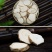白芷白芷圆片斜片可煲汤中药材调味香料产地零售批发