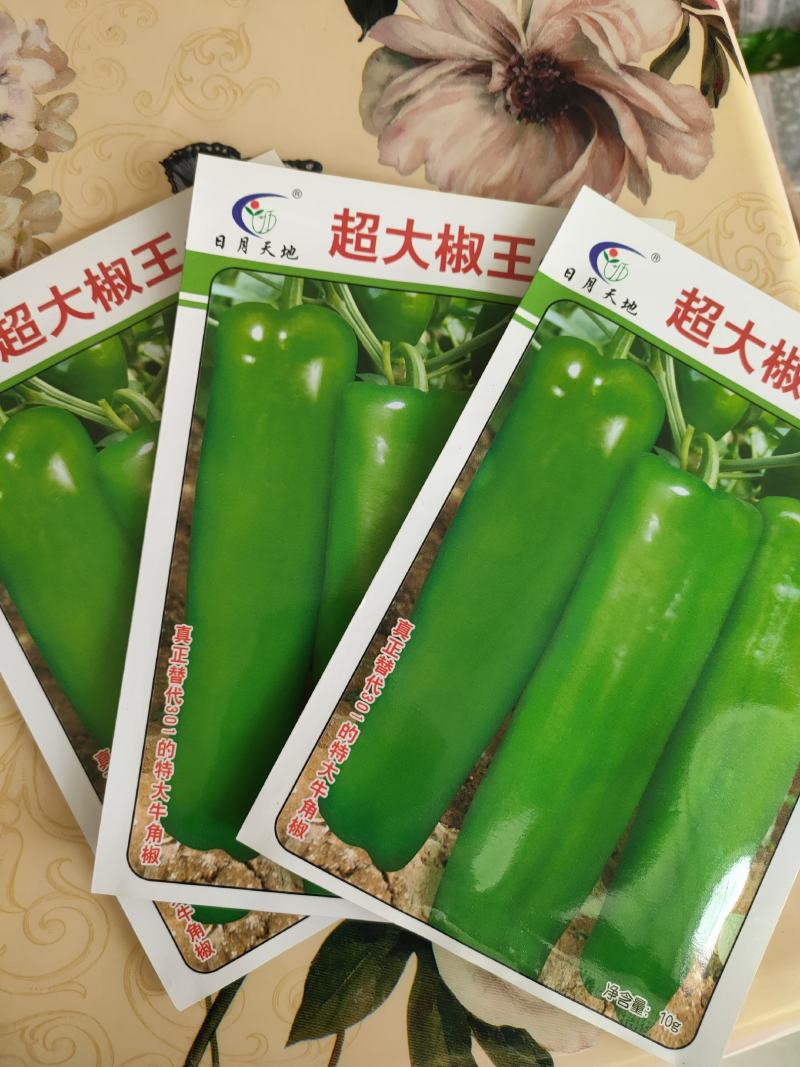 辣椒种子菜椒种子泡椒种子大海椒种子大果辣椒种子