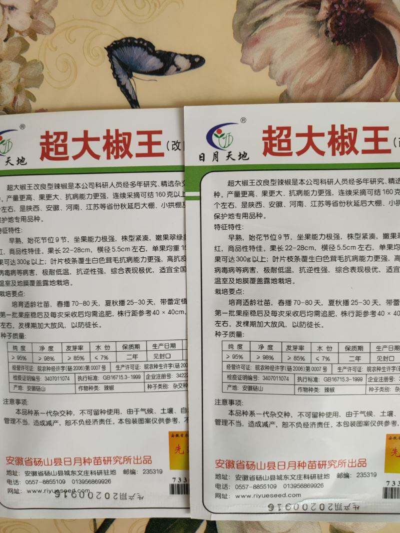 辣椒种子菜椒种子泡椒种子大海椒种子大果辣椒种子