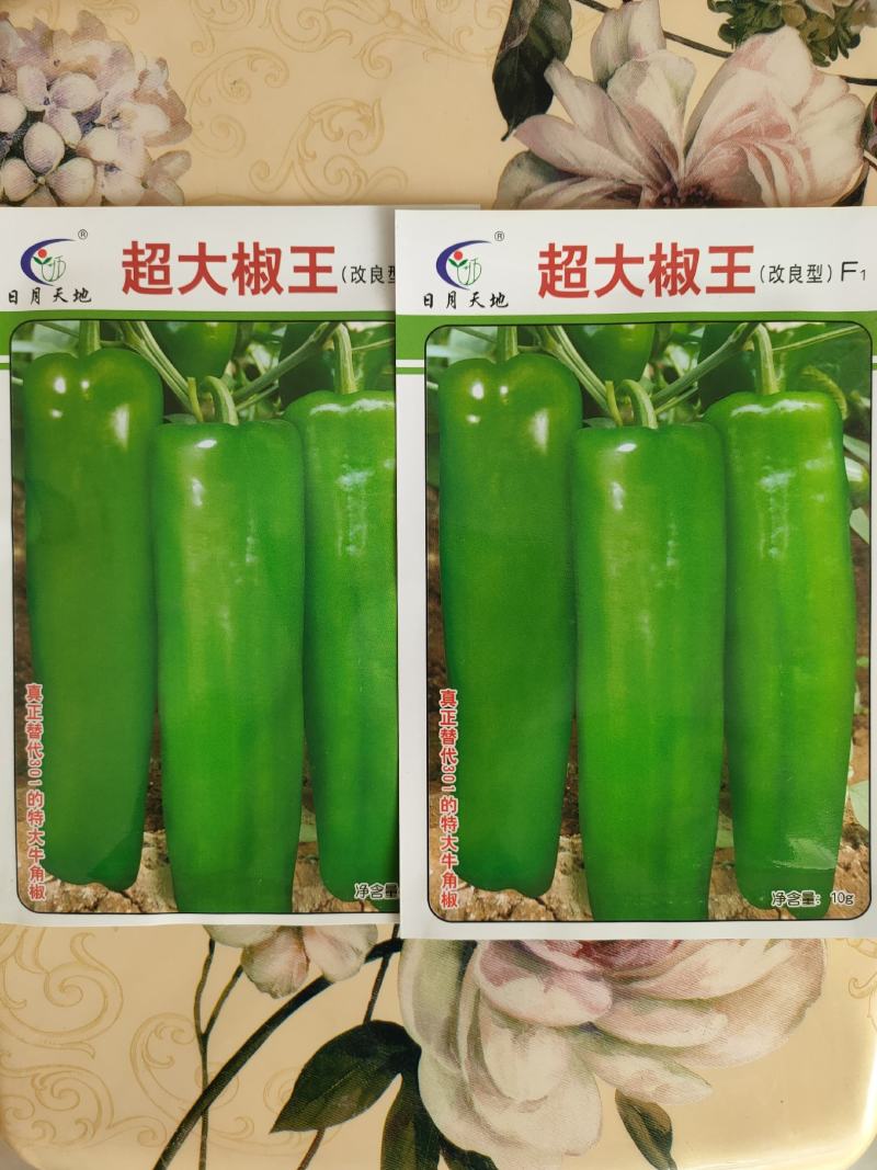 辣椒种子菜椒种子泡椒种子大海椒种子大果辣椒种子