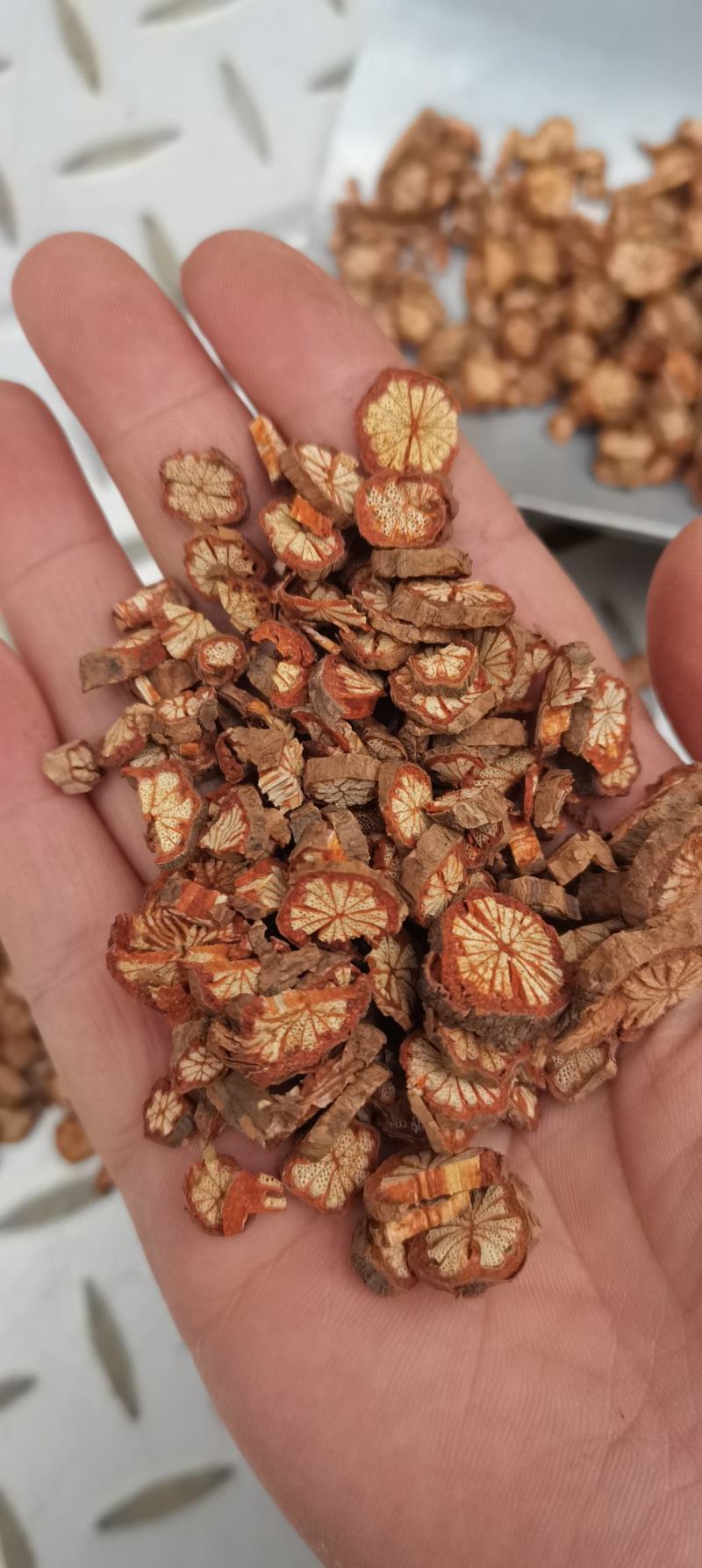 红藤血藤大血通红藤片血塞通各种中药材