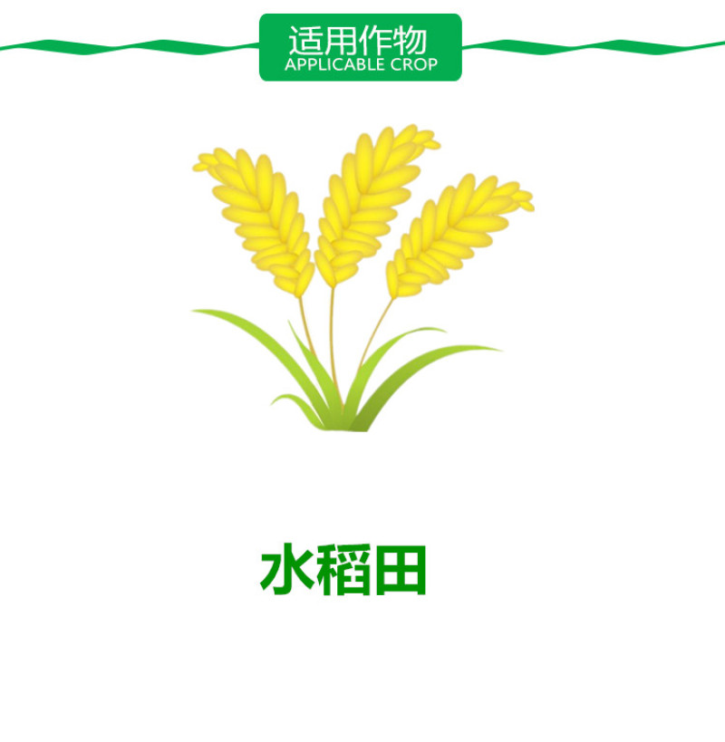 浙江天丰野老秧葆苄.二氯苄嘧磺隆二氯喹啉酸水稻抛秧