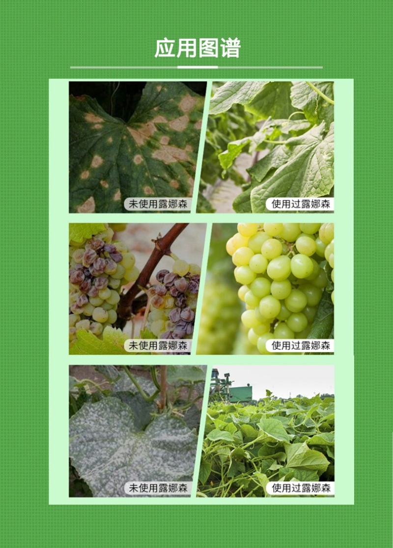 德国拜耳露娜森氟吡菌酰胺肟菌酯白粉病斑点病农药广谱杀菌剂