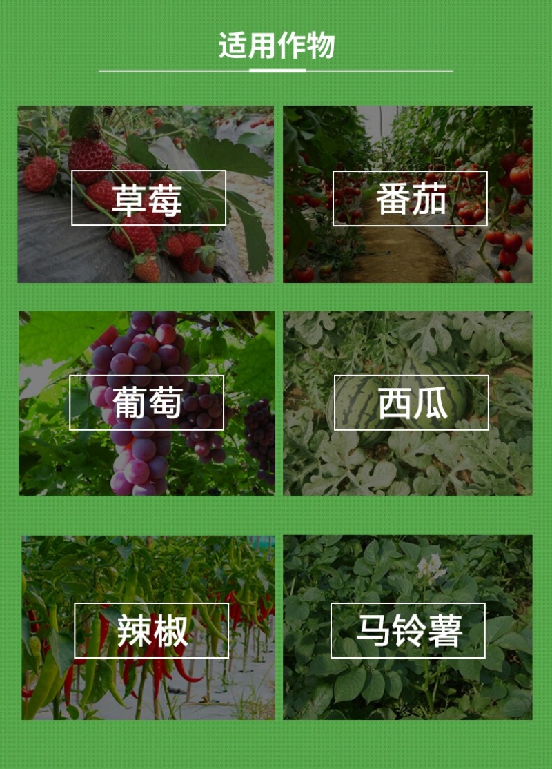 德国拜耳露娜森氟吡菌酰胺肟菌酯白粉病斑点病农药广谱杀菌剂