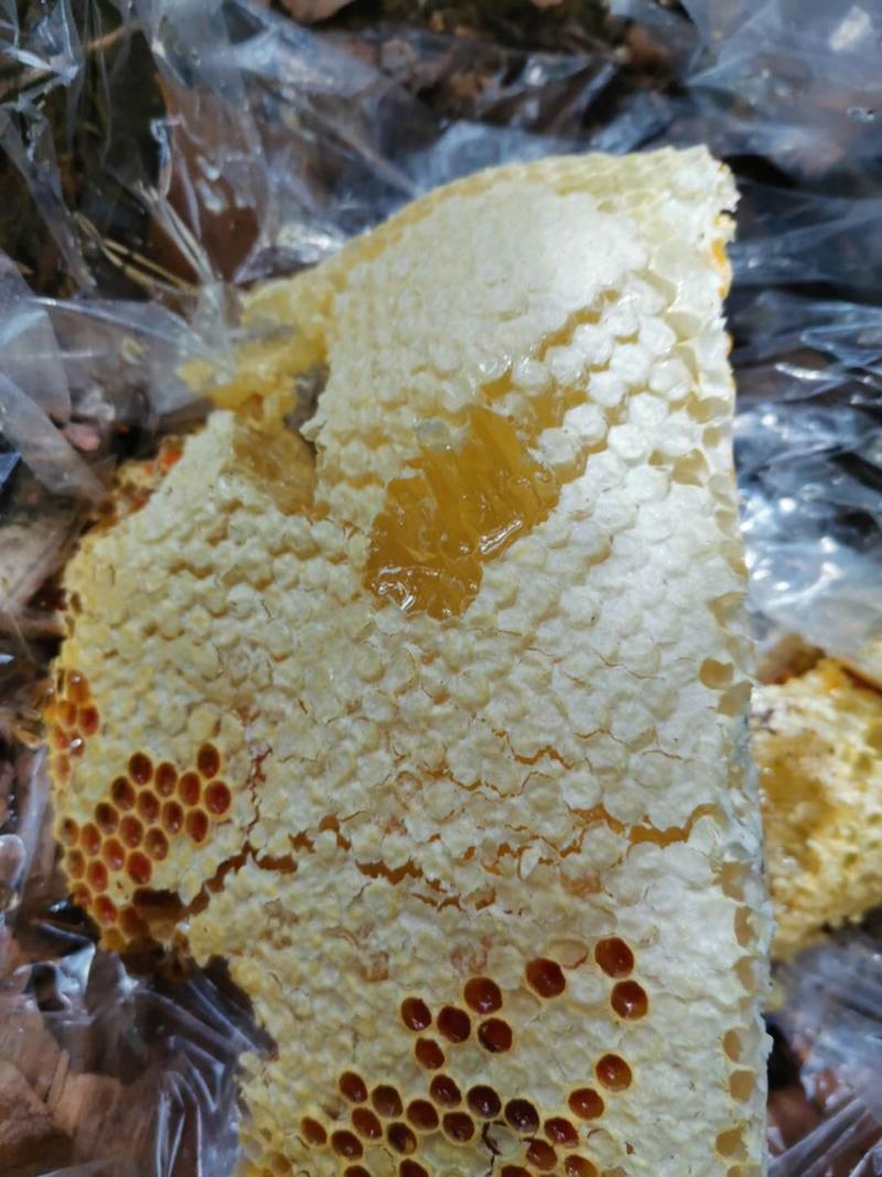土蜂蜜包邮中华蜂云南蜂蜜一件代发贴牌代发自产自销敢比质量