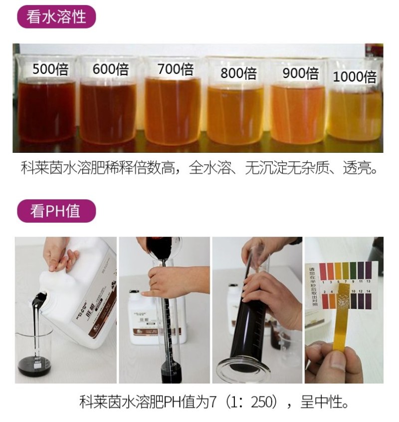 葡提果葡萄膨果着色专用含腐植酸美果除锈防裂防烂