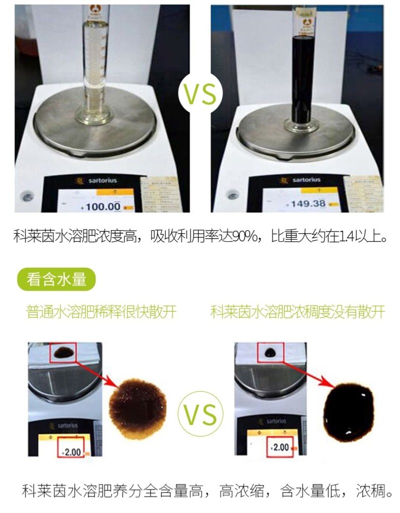 【包邮】利叶叶菜专用黄叶转绿叶肉肥厚叶色油绿