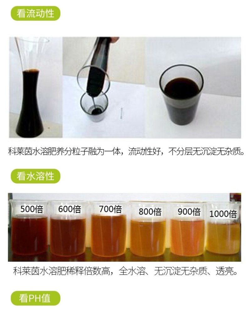 【包邮】利叶叶菜专用黄叶转绿叶肉肥厚叶色油绿