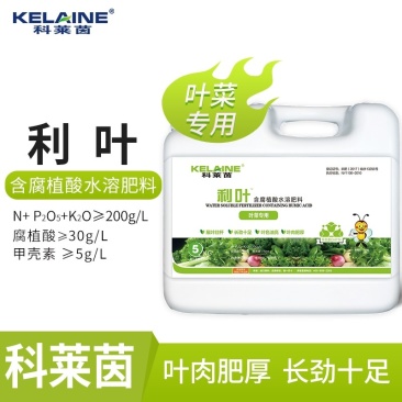 【包邮】利叶叶菜专用黄叶转绿叶肉肥厚叶色油绿