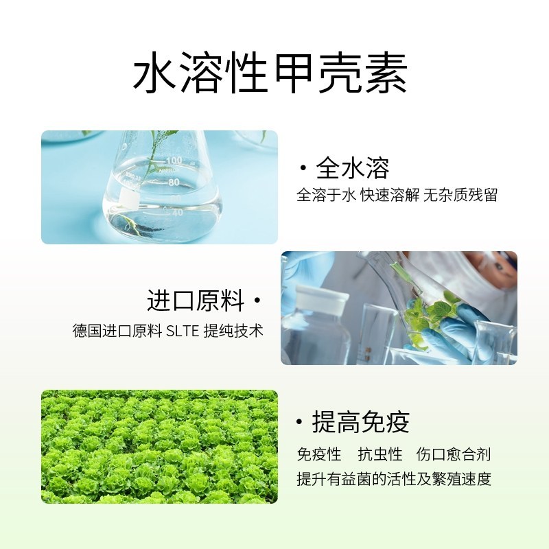【包邮】利叶叶菜专用黄叶转绿叶肉肥厚叶色油绿
